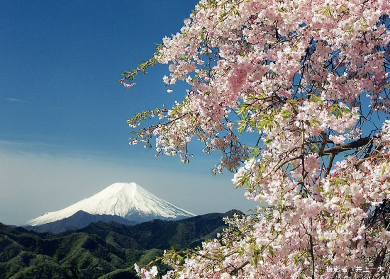 富士山周辺