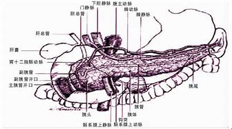 胰腺癌如何预防？